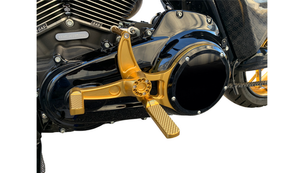 HHI HAWG HALTERS Mid Controls - Gold - Knurled Pegs - '16-'20 FLH
